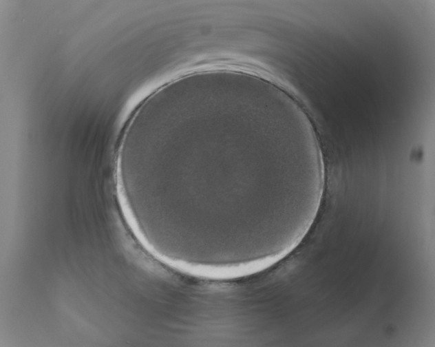 X0000110941522200907311005