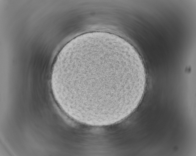 X0000110941525200907311005