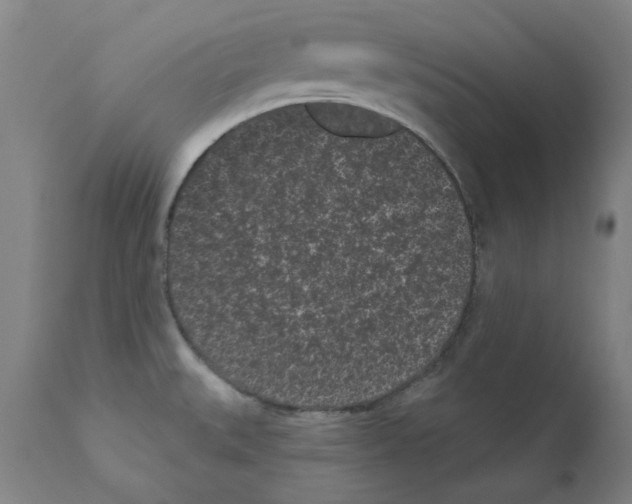 X0000110941527200907311005