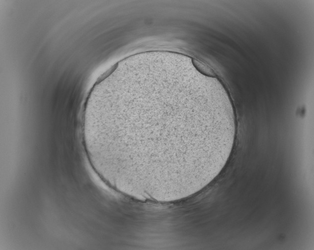 X0000110941528200907311005