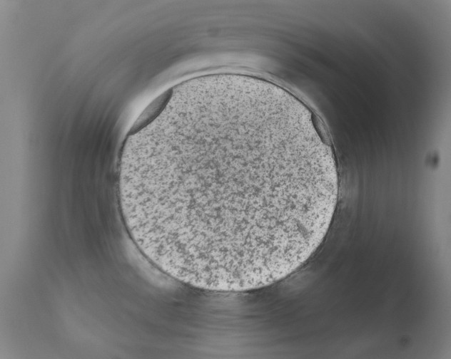 X0000110941532200907311005