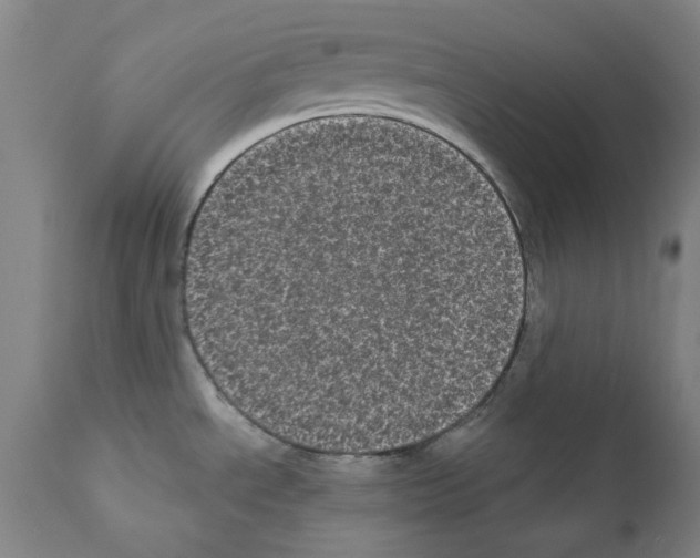X0000110941534200907311005