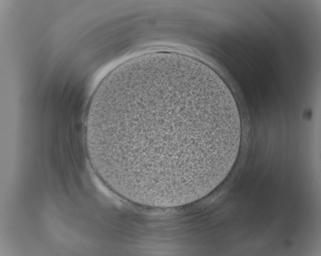 X0000110941535200907311005
