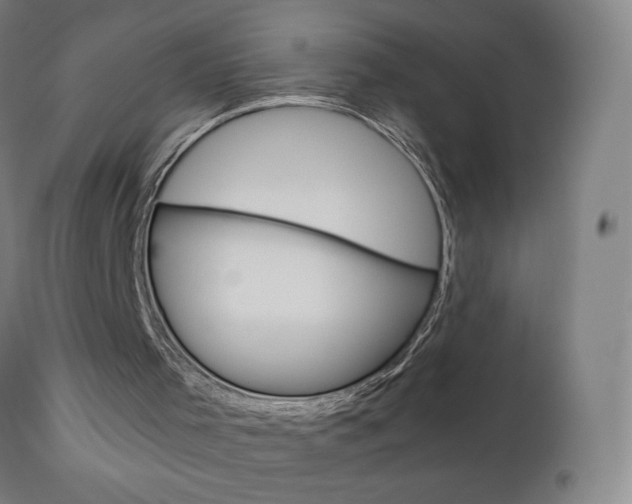 X0000110950001200906191126