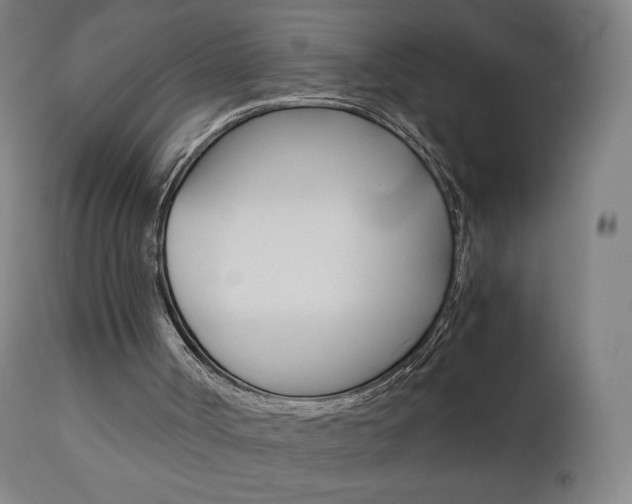 X0000110950002200906191126