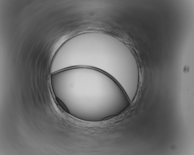X0000110950003200906191126
