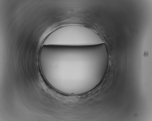 X0000110950004200906191126