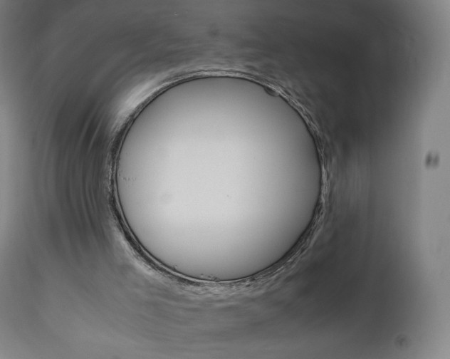 X0000110950005200906191126