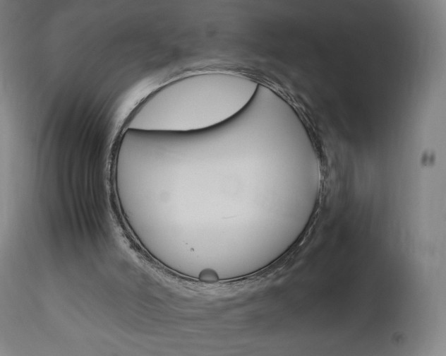 X0000110950006200906191126