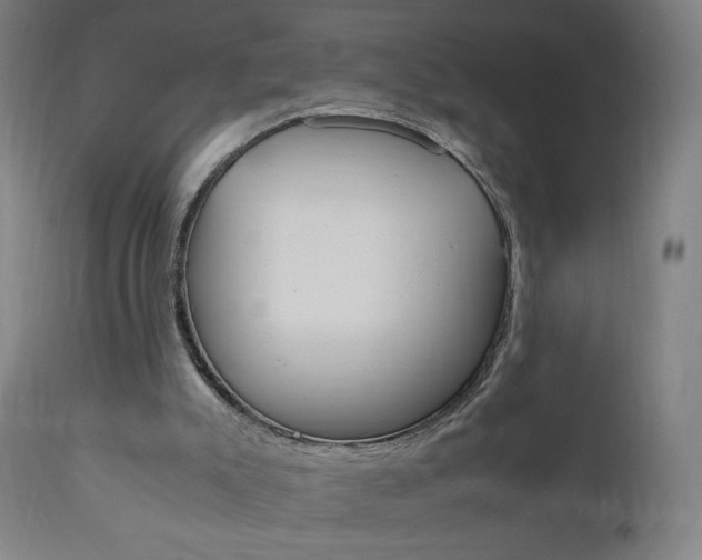 X0000110950007200906191126