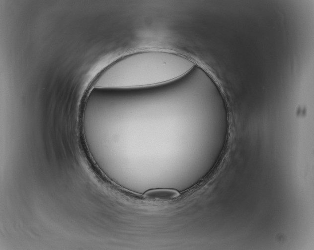 X0000110950008200906191126