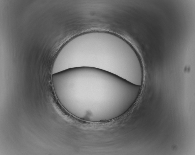 X0000110950009200906191126
