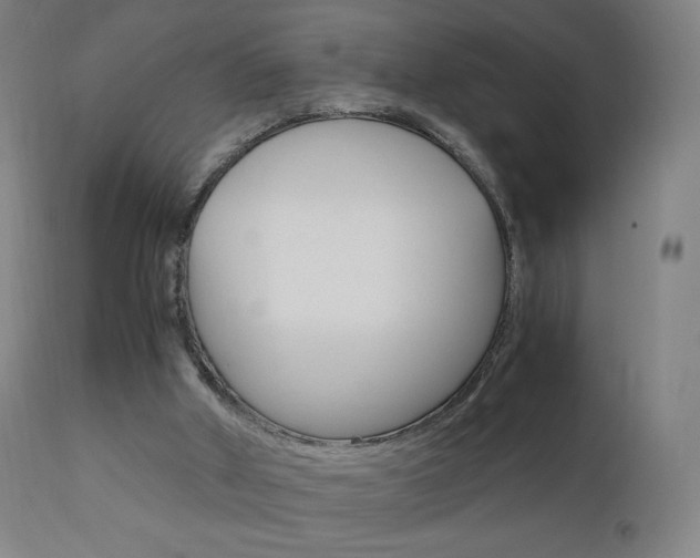 X0000110950010200906191126