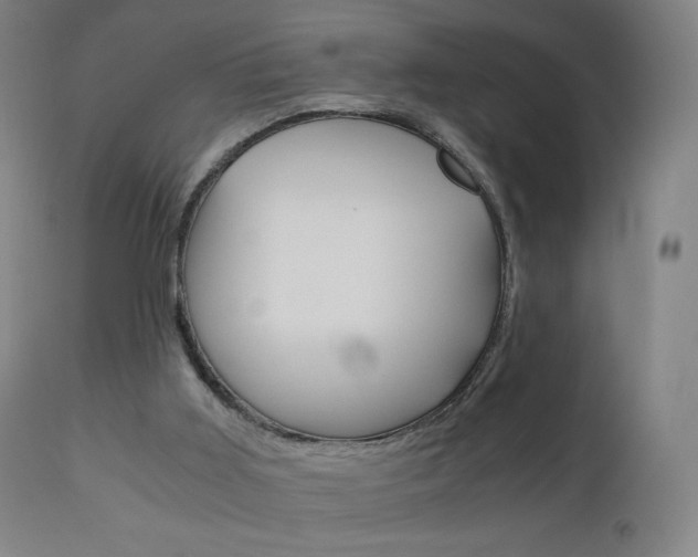 X0000110950011200906191126