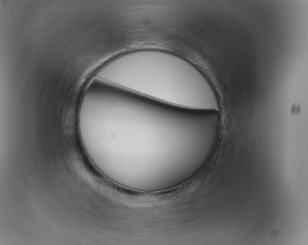 X0000110950012200906191126