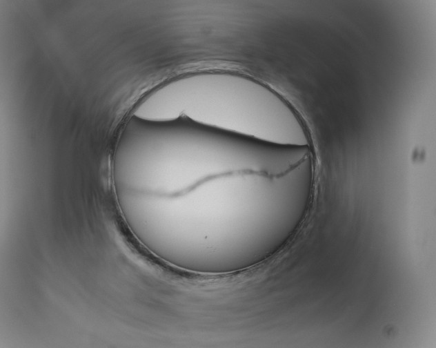 X0000110950013200906191126