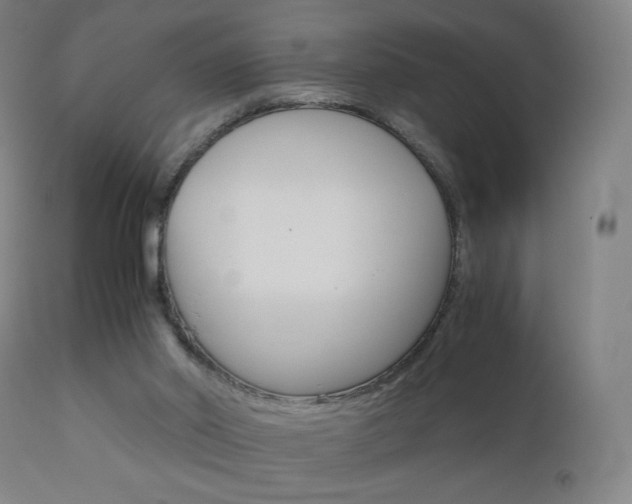 X0000110950014200906191126