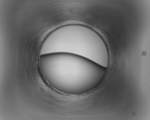 X0000110950015200906191126