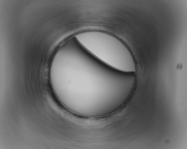 X0000110950016200906191126