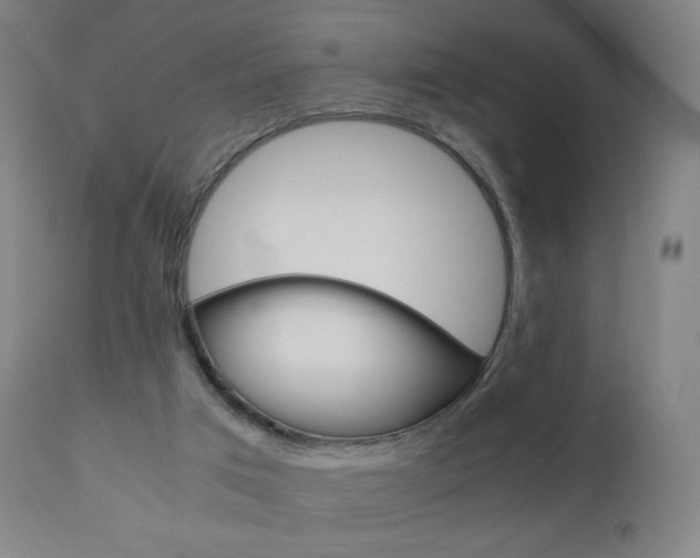 X0000110950017200906191126