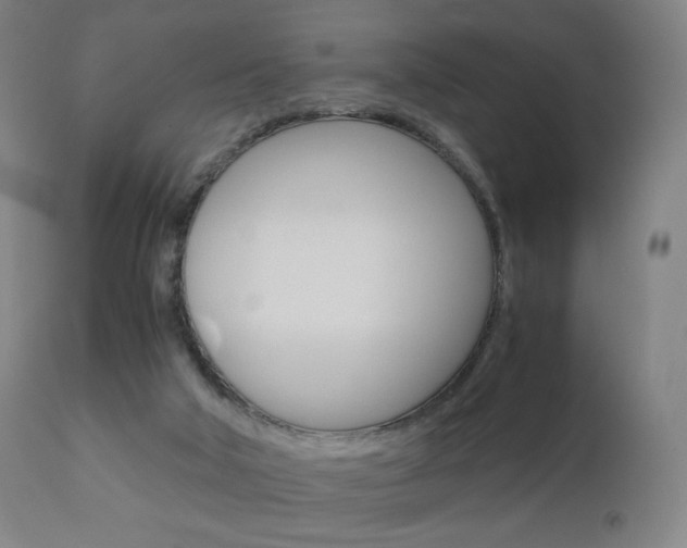 X0000110950018200906191126