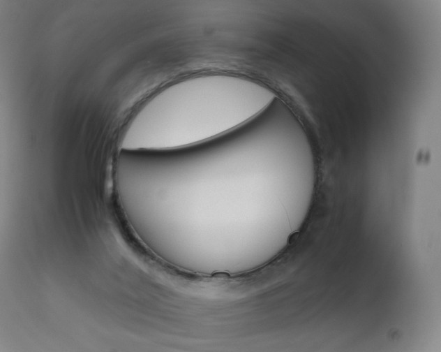 X0000110950020200906191126