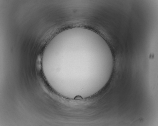 X0000110950022200906191126