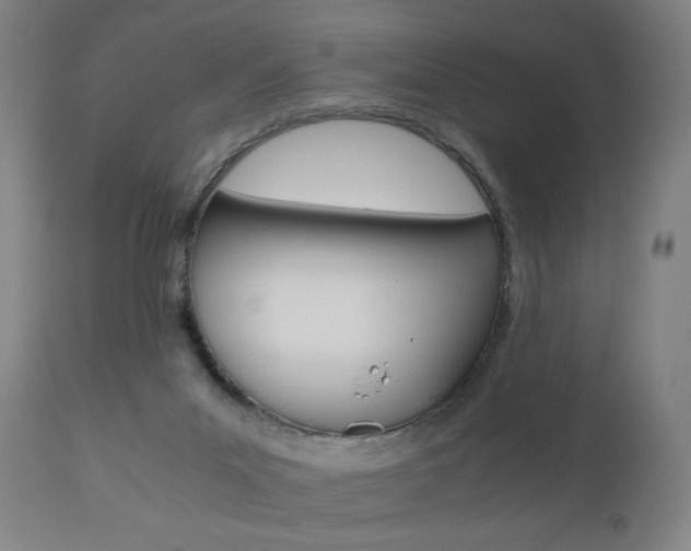X0000110950023200906191126