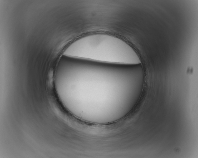 X0000110950024200906191126