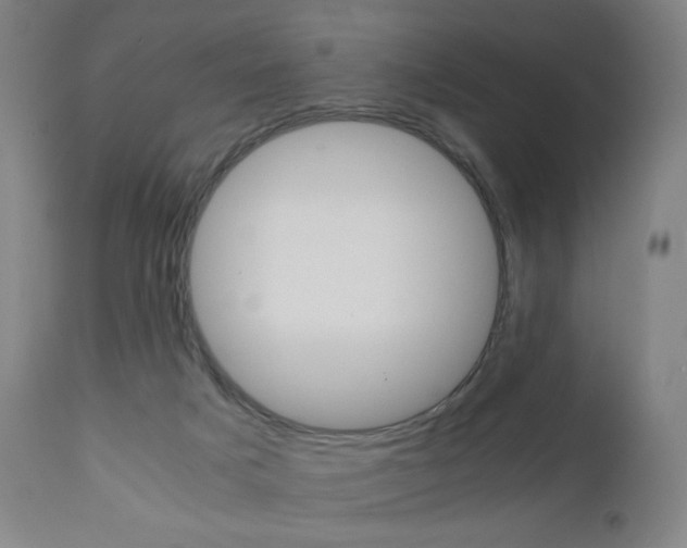 X0000110950025200906191126