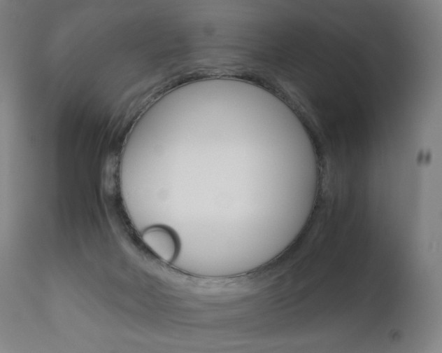 X0000110950026200906191126