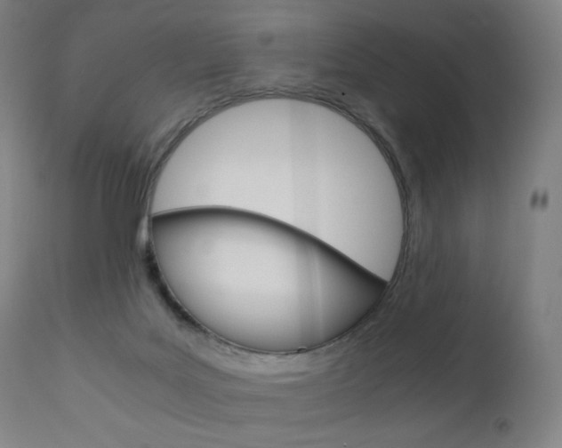 X0000110950027200906191126