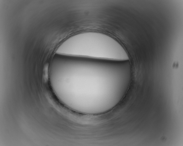 X0000110950028200906191126
