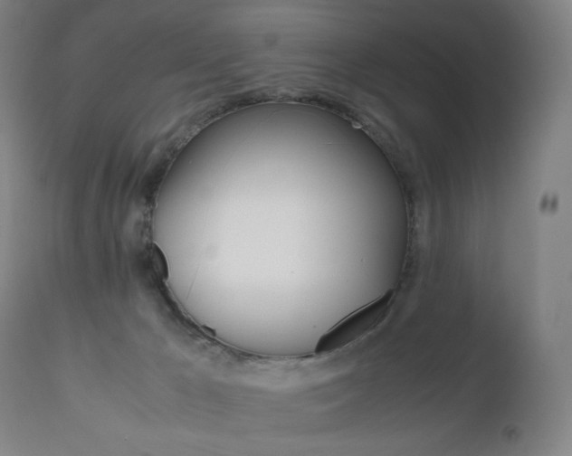 X0000110950029200906191126