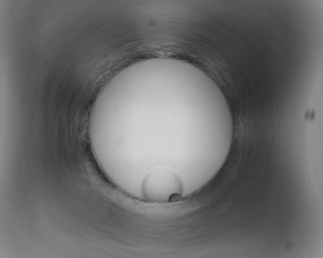 X0000110950030200906191126