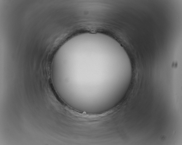 X0000110950031200906191126