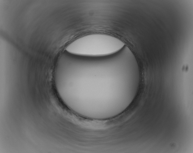 X0000110950032200906191126