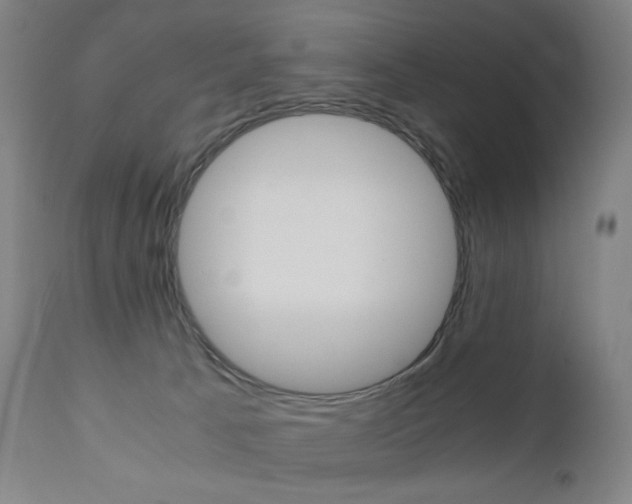 X0000110950033200906191126