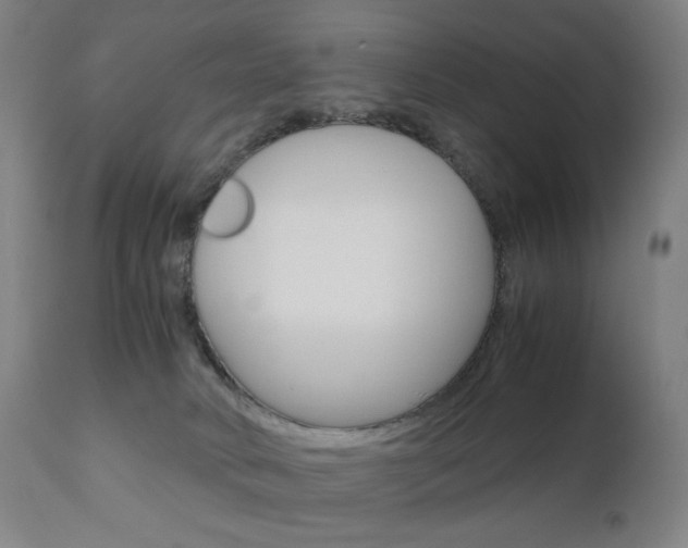X0000110950034200906191126
