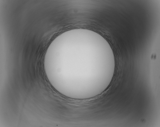 X0000110950037200906191126