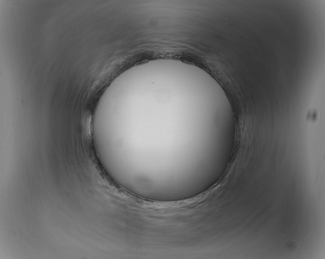 X0000110950041200906191125