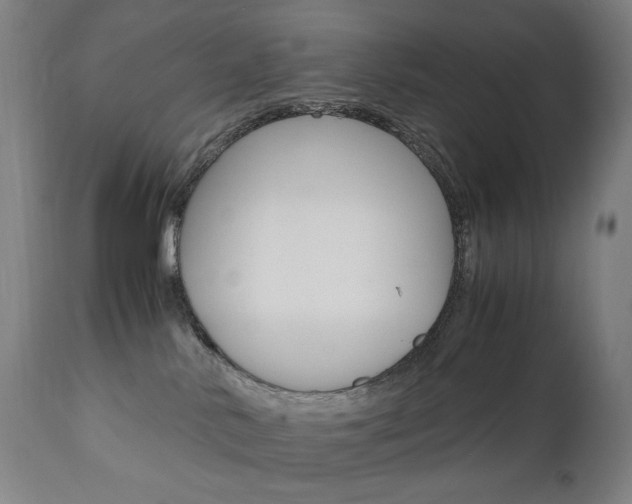 X0000110950042200906191125