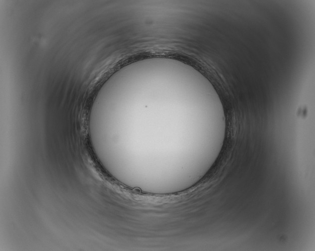 X0000110950044200906191125