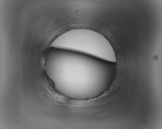 X0000110950045200906191125