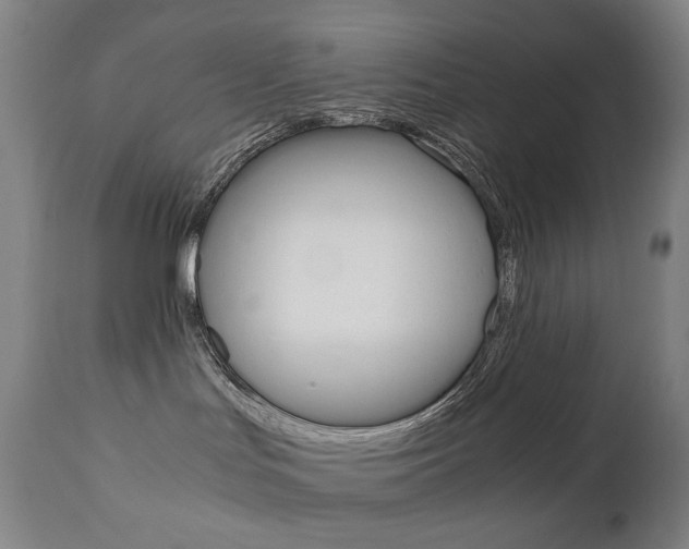 X0000110950047200906191125