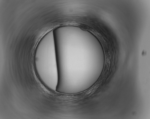 X0000110950049200906191125