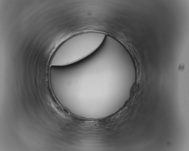 X0000110950050200906191125