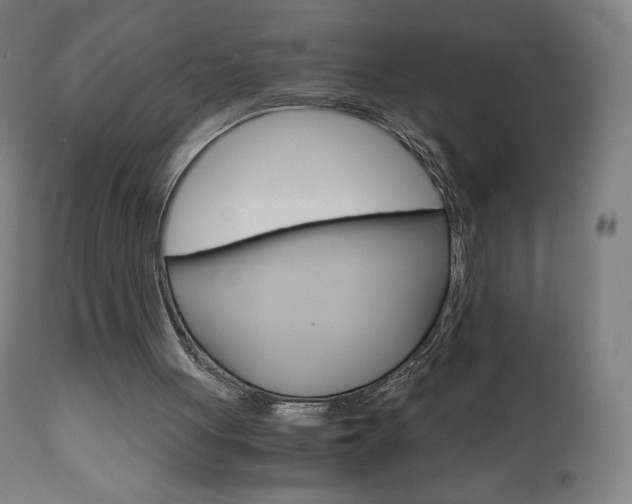 X0000110950051200906191125
