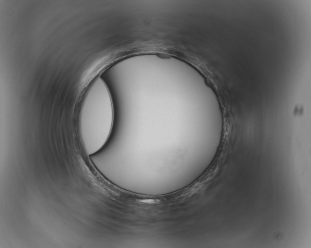 X0000110950053200906191125
