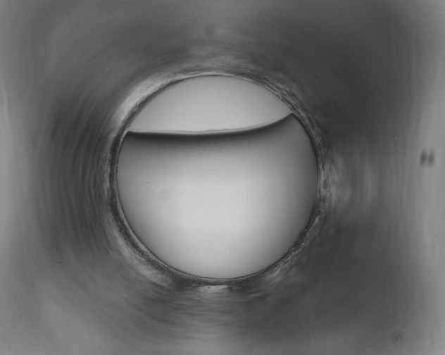 X0000110950054200906191125